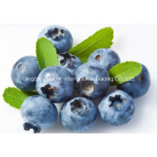 Europe Bilberry Extract
